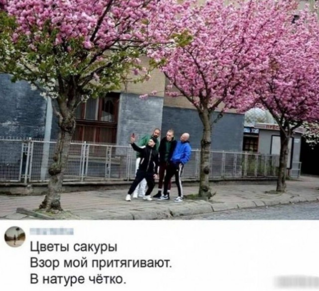 Забавные комментарии из социальных сетей (01.08.22)