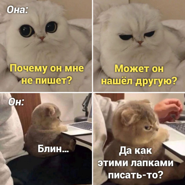 Картинки и мемы для настроения - 03
