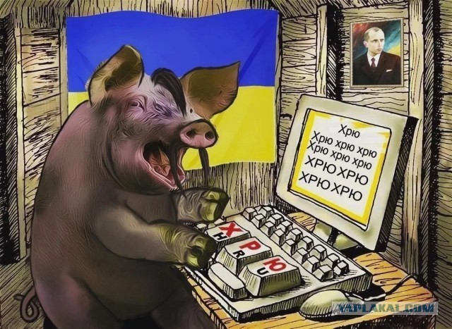 «Офицеры России» попросили Генпрокуратуру проверить фронтмена группы «Сплин»