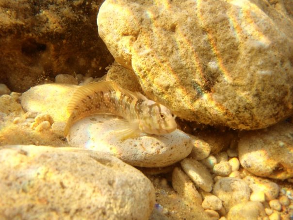 Мыс Тарханкут - самая западная точка Крыма.