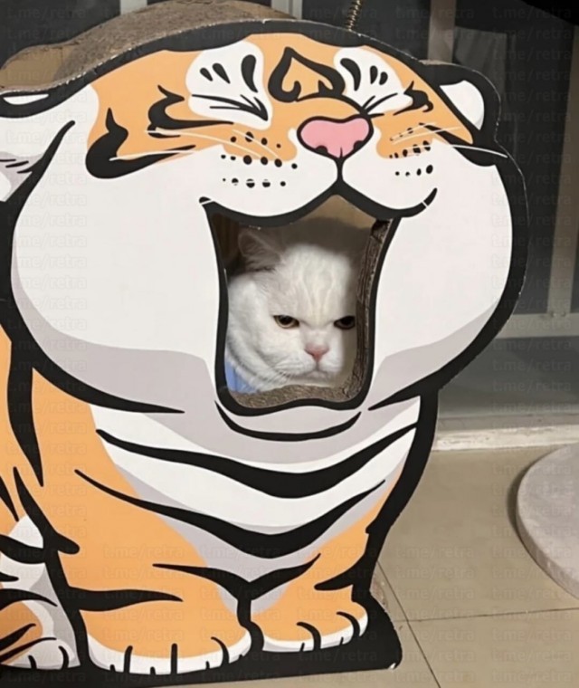 На посту