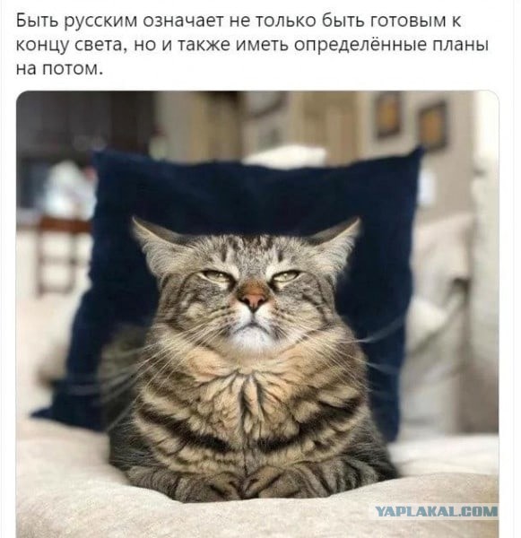 Про жизнь
