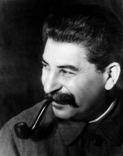 Отловили и посадили в клетку