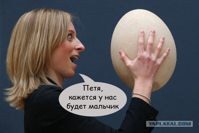 Фотожаба "Яйцо"