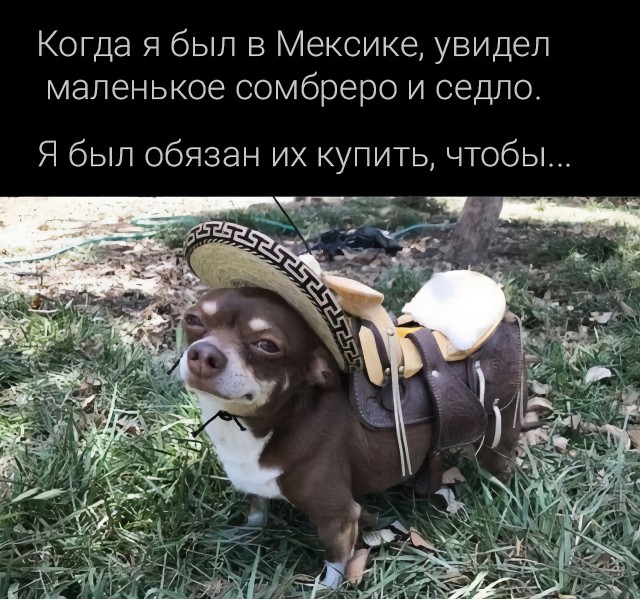 Немного картинок для настроения - 165