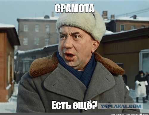 Красавицы. Просто красавицы