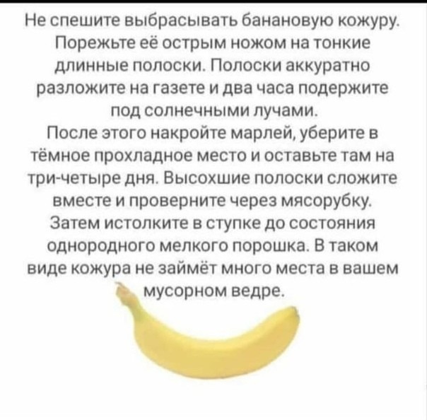 Старый мастер показал, зачем нужны шишки
