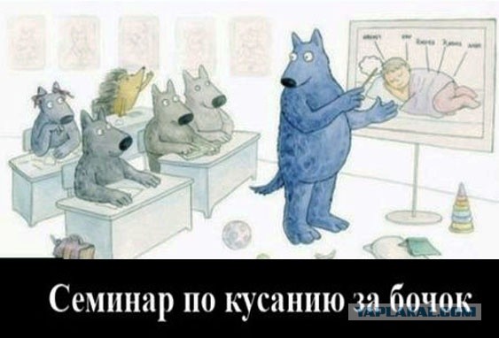 Две картинки. Вторая на утро, если проснётесь