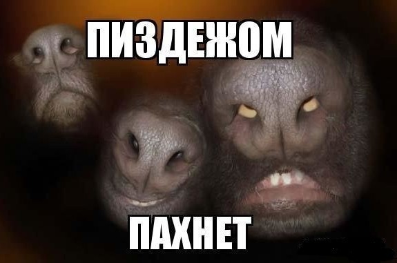 Зеленский отказался считать ситуацию на фронте патовой.