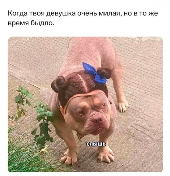 Картинки неразобранные