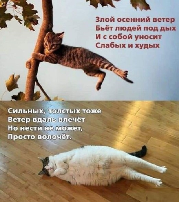 Картинки разные с надписями и без