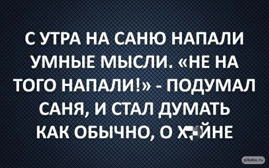Прикольные и просто красивые картинки 01.11.2024