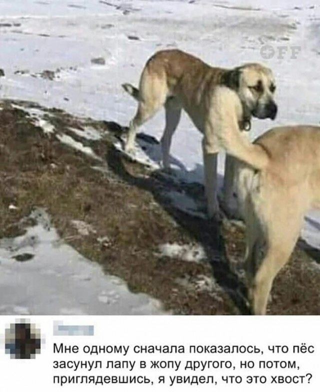 Мои избранные картинки, часть 2
