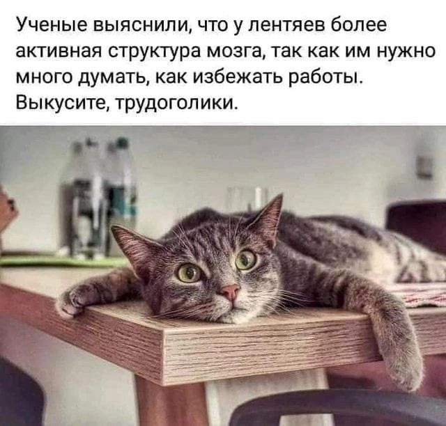 Так себе картинки 12.02.25