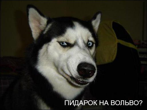 Учитель на вольво.