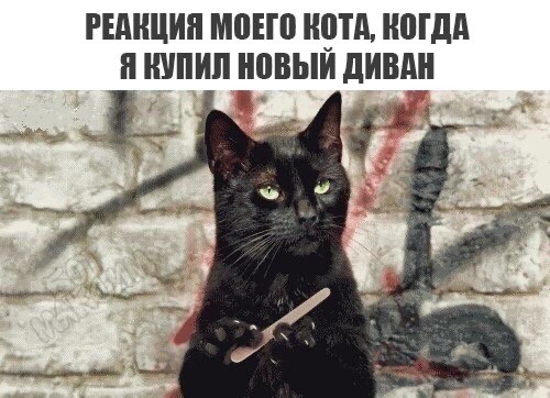 Сундук деграданта! Выпуск номер 8