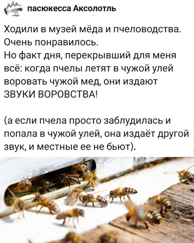 Так себе картинки 09.10.25