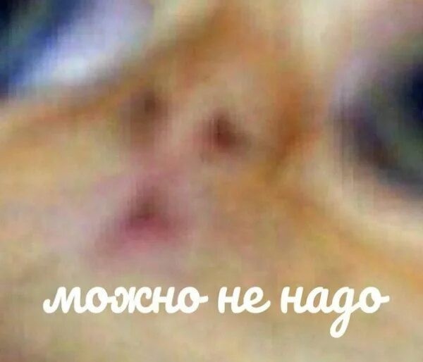 День психического здоровья