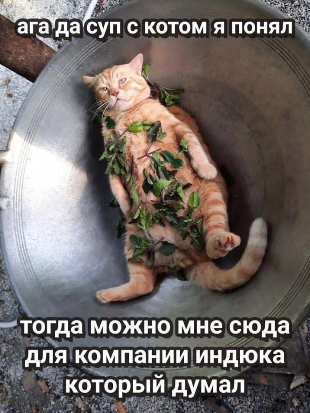 Картиночки, баянчики..