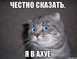 ЯП познавательный