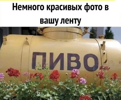 Жизнь на острове