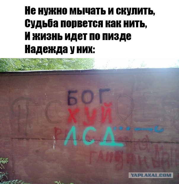 Картинки для деградации 147 (разной степени свежести)