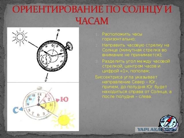 Москвичам предложили ориентироваться по Солнцу и звездам