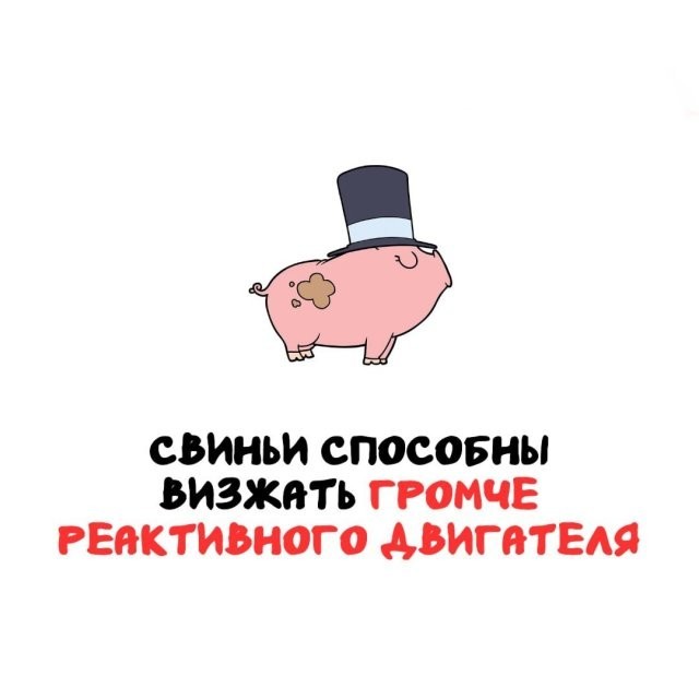 Интересные и короткие факты на все случаи жизни 19.04.26