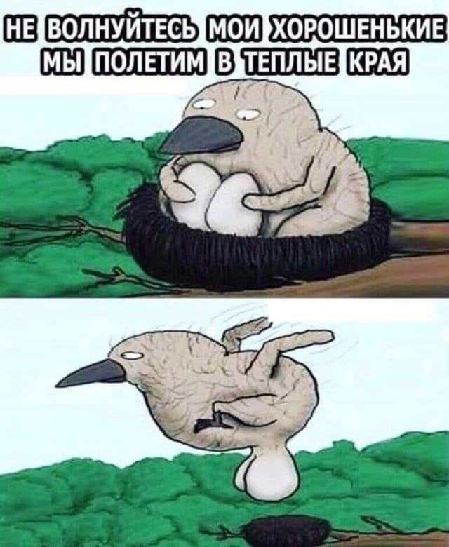 Картинки для деградации 199 (разной степени свежести)
