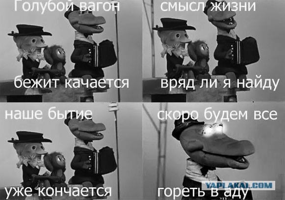 Аккордеоны
