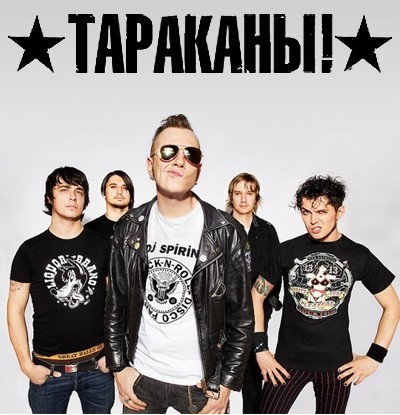 В Индии в субботу был арестован лидер "Партии тараканов", а также сотни активистов оппозиционного молодежного движения