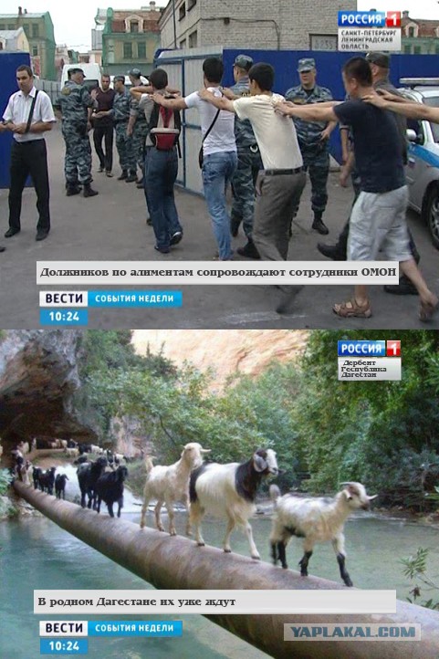 Как назовём картинку?