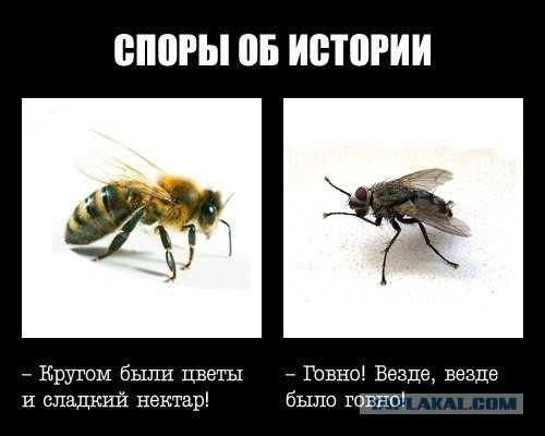 СССР иными глазами