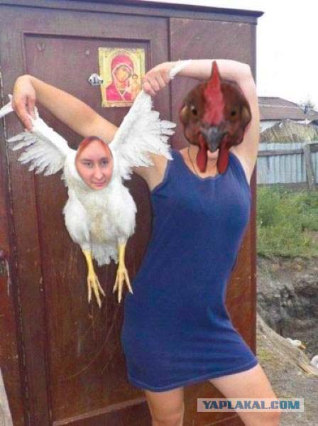 Перлы из сетей