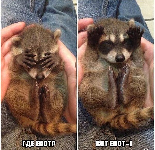 удалить! тест !