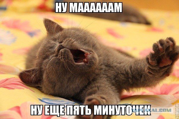 Тема для юмора