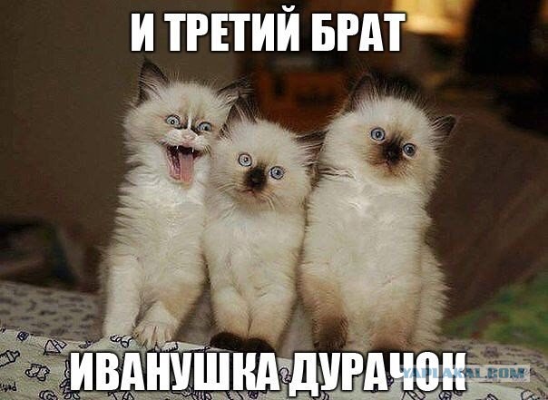 Позитивные картинки