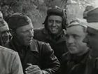 Проспорил Супруге шампанское