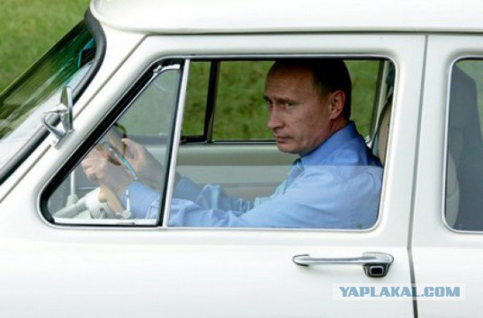 Димон, Володя и Нива