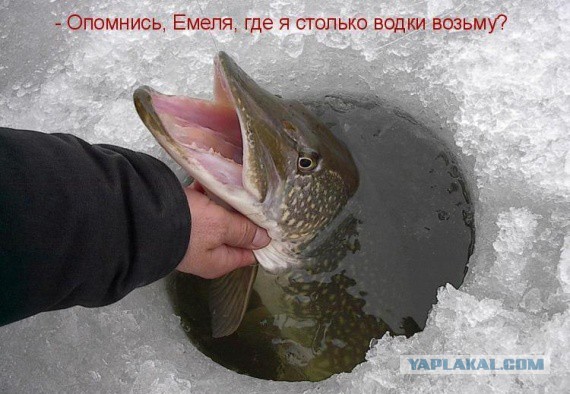 На Рыбалку!