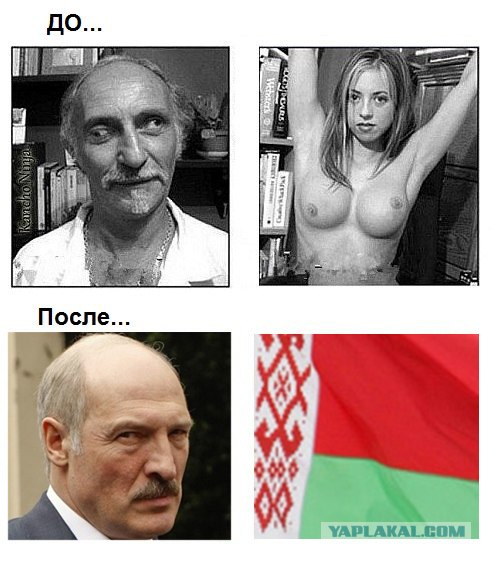 Сыроварня Петра Пригары