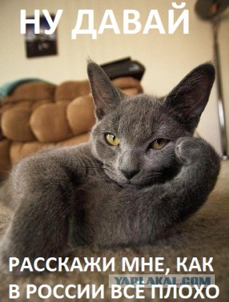 За что либералы не любят патриотов?