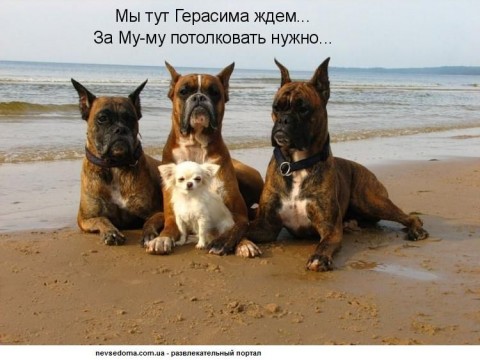 Подборка картинок