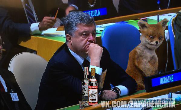 Прямая трансляция из ООН