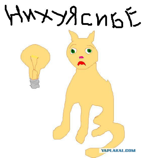 Загадки тела
