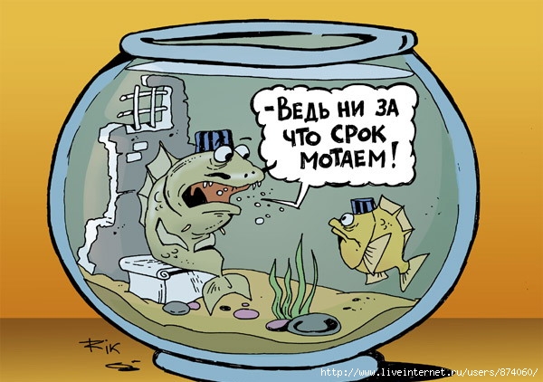 Саботаж в аквариуме