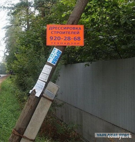 Кто кем работает?