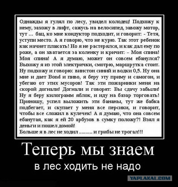 Картинки и демотиваторы