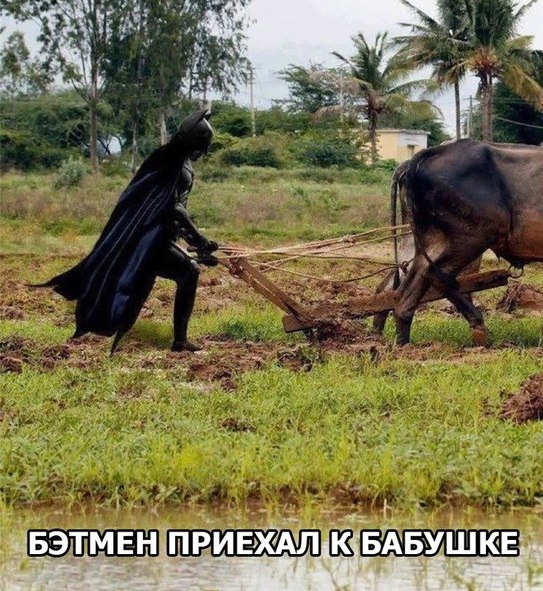 Злые шутки или минутка сарказма на ЯП-е, 16+