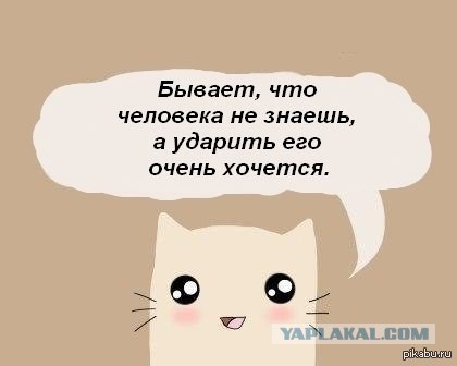 В гипермаркете "Глобус" города Щелково мужчина избил свою дочь и спокойно ушел с помощью охраны